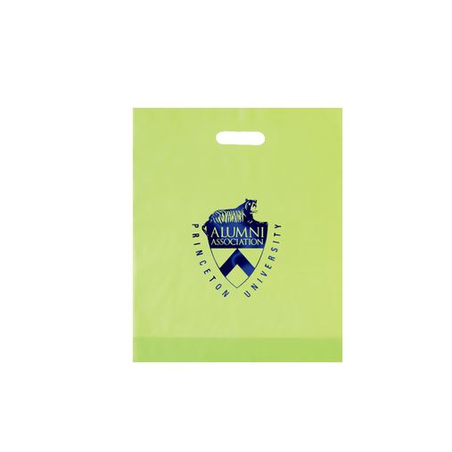 Custom Printed Frosted Die Cut Plastic Bag (15"x18"x4") - Foil Stamp - 19FD15184-FS